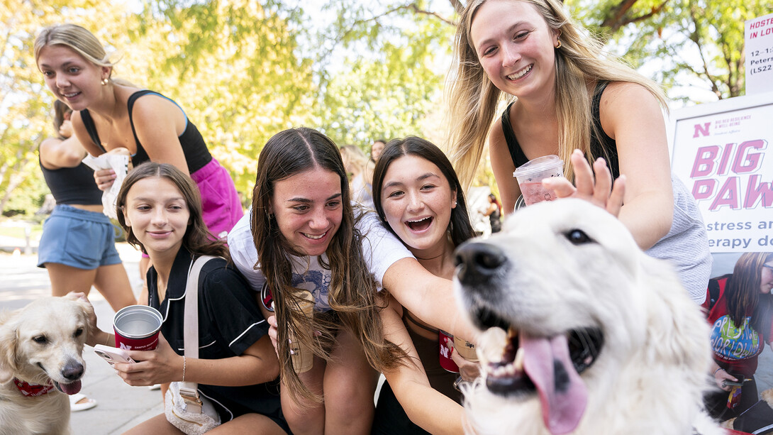 Well-being Collective launched to enhance student supports