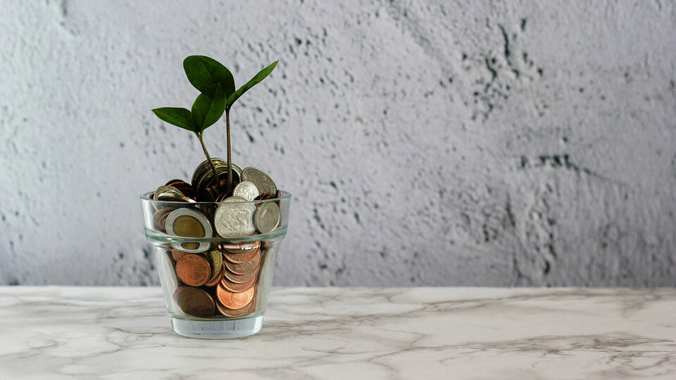 a seedling plant sprouts from a glass cup filled with coins.