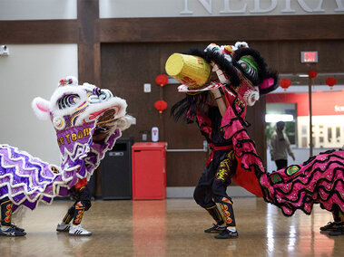 Two performers in colorful lion costumes during a vibrant indoor lion dance performance. Photo by Jackie Ruiz-Rodriguez.